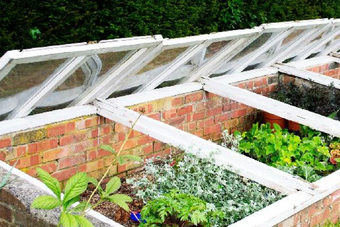 Frühbeet aus Holz mit geöffnetem Deckel